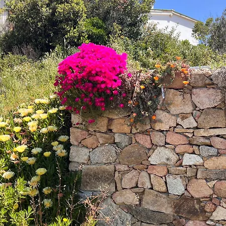 Il Nido Dei Venti Holiday home