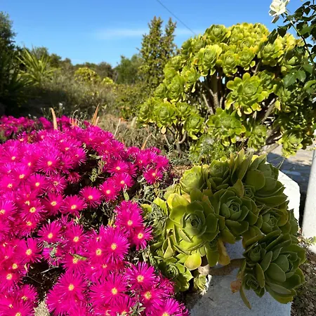 Il Nido Dei Venti Holiday home