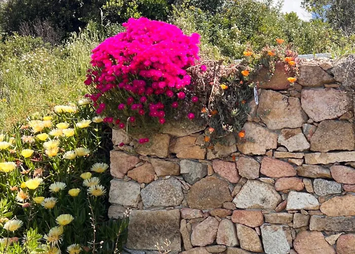 Il Nido Dei Venti Ferienhaus