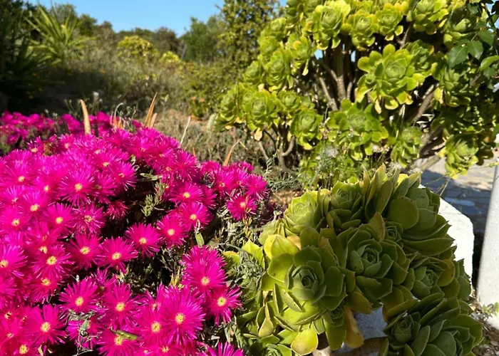 Il Nido Dei Venti Ferienhaus